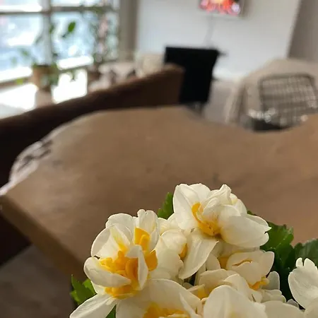 Ataşehir Metropol Daire Daire *